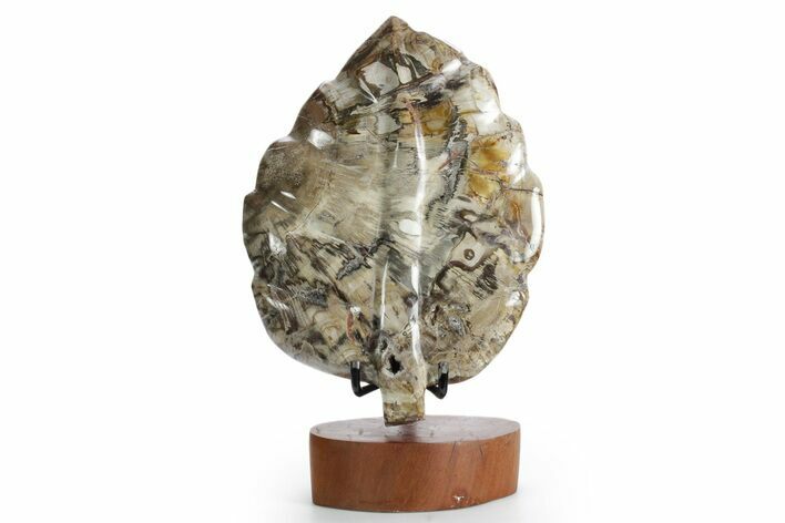 Polished Petrified Wood (Araucaria) Leaf with Stand - Madagascar #355263